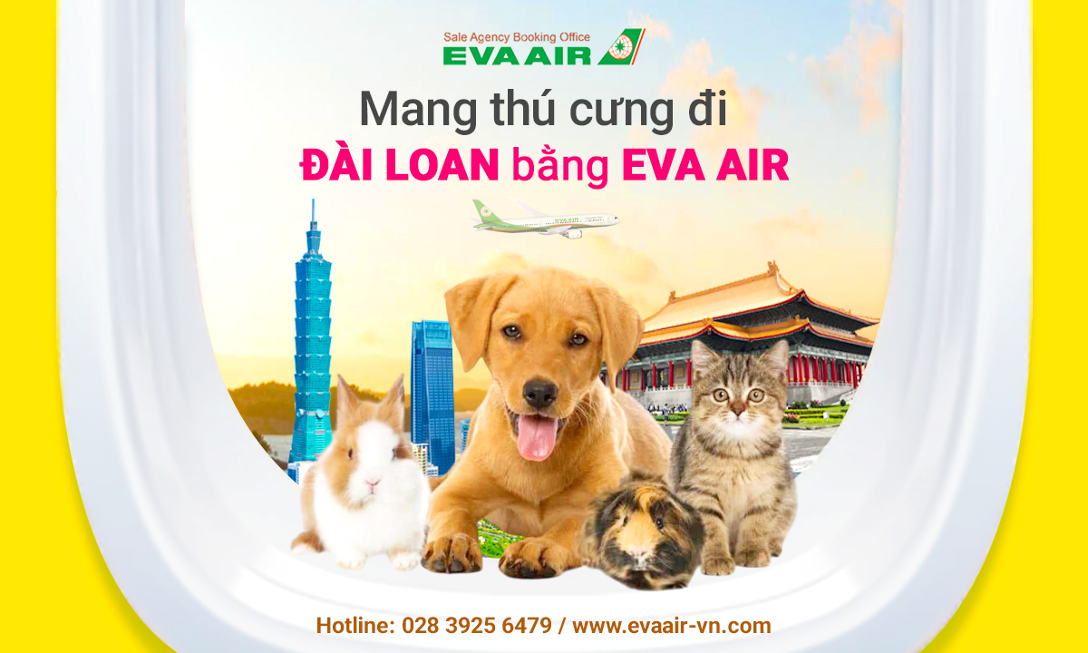 Mang thú cưng đi Đài Loan bằng EVA Air – Hướng dẫn chi tiết