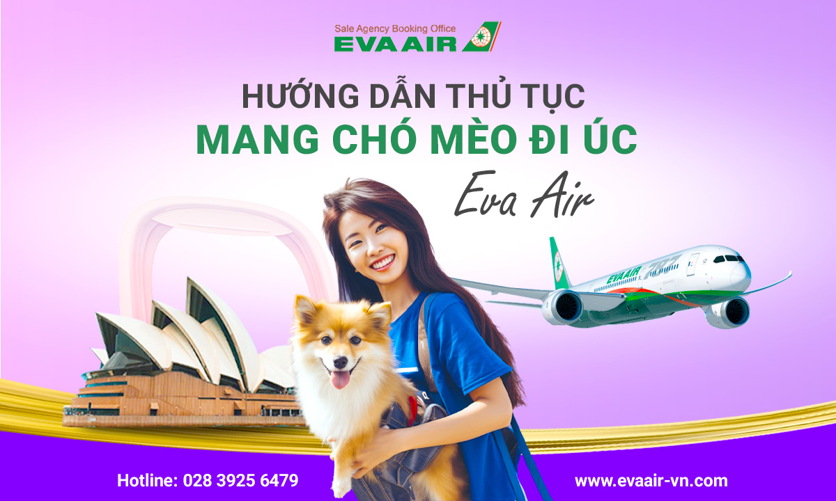 Thu-tuc-mang-cho-meo-di-UC-eva-228.jpg