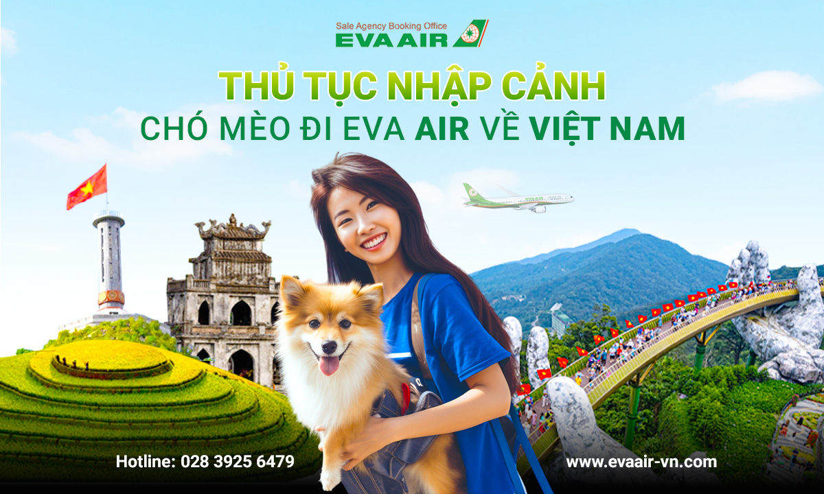 Thu-tuc-nhap-canh-cho-meo-ve-VN-eva-678.jpg