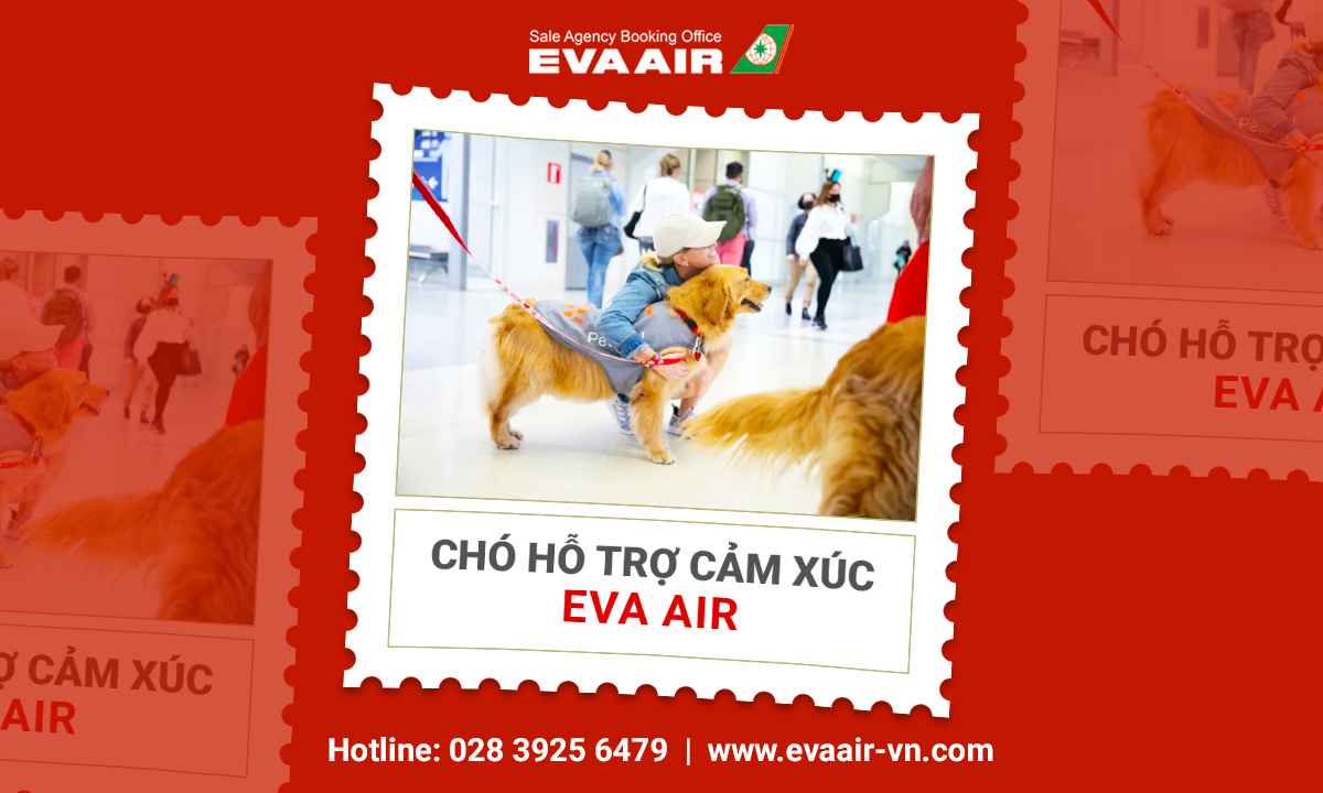 cho-ho-tro-cam-xuc-eva-air-585.jpg