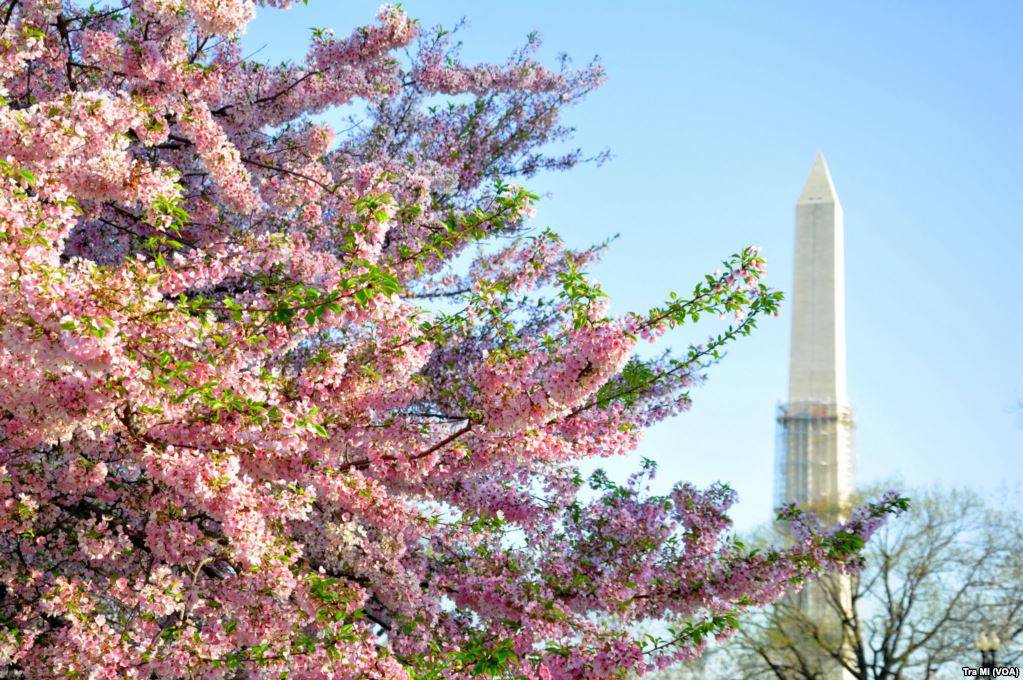 Hành trình bay từ TP.HCM đi Washington