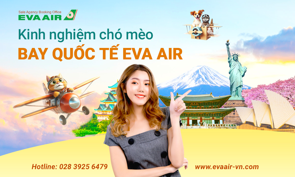 kinh-nghiem-cho-meo-bay-quoc-te-eva-air-963.jpg