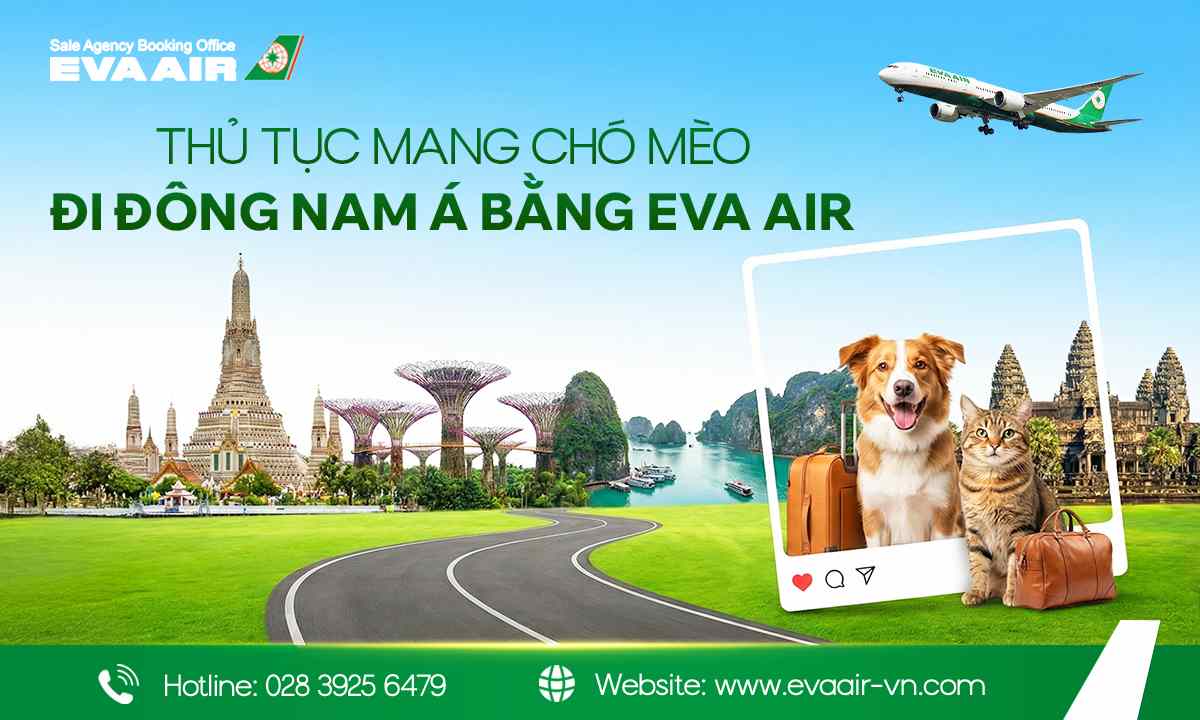 mang-cho-meo-di-dong-nam-a-bang-eva-air-725.jpg