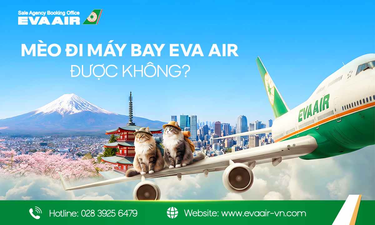 meo-di-may-bay-eva-air-737.jpg
