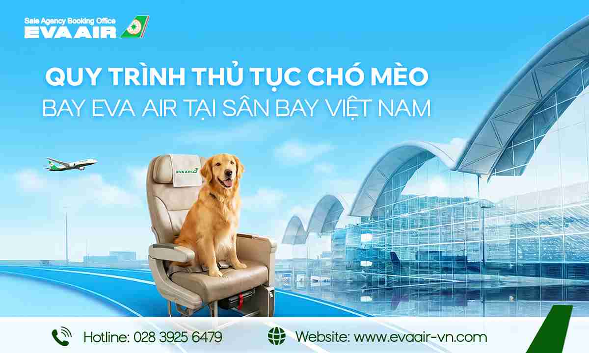 thu-tuc-cho-meo-bay-eva-air-tai-san-bay-viet-nam-880.jpg