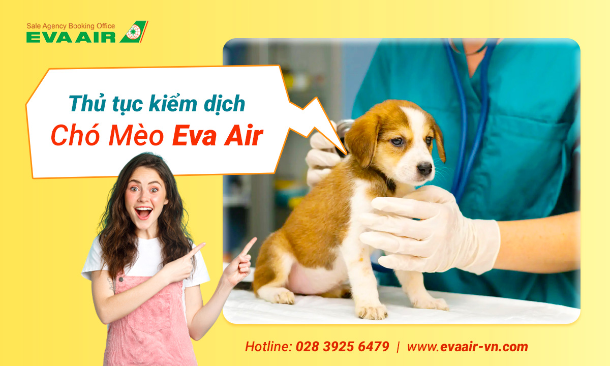 thu-tuc-kiem-dich-cho-meo-eva-air-520.jpg