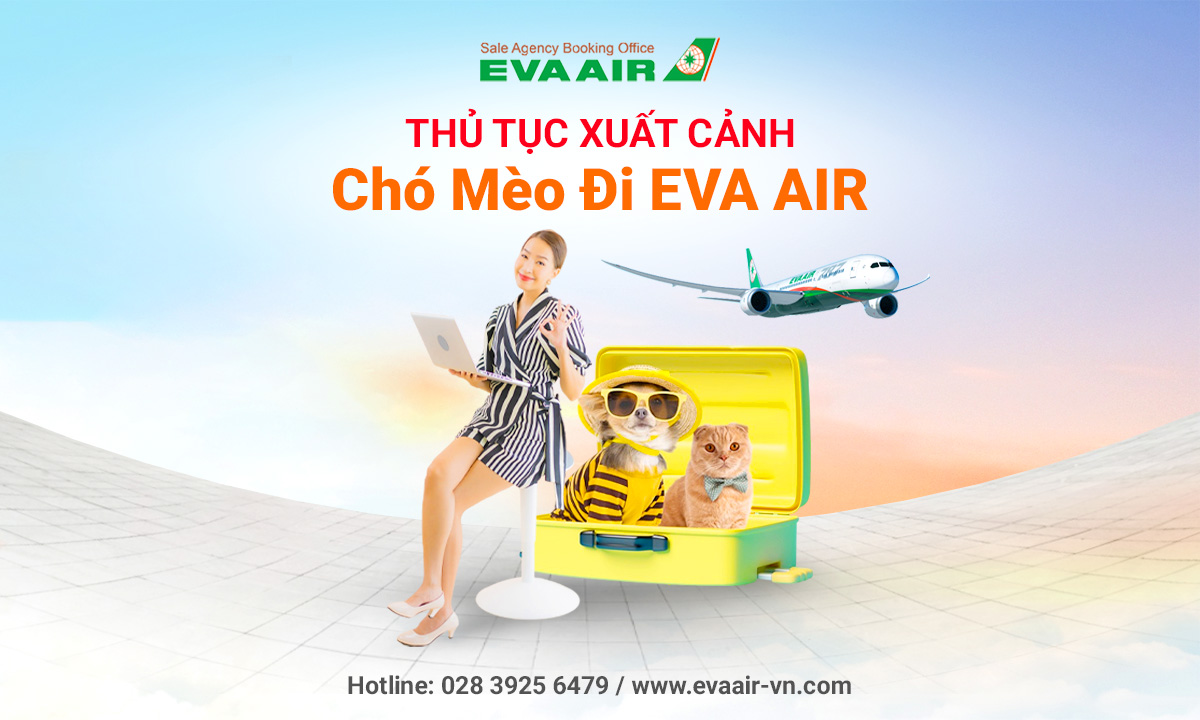 thu-tuc-xuat-canh-cho-meo-di-may-bay-eva-air-725.jpg