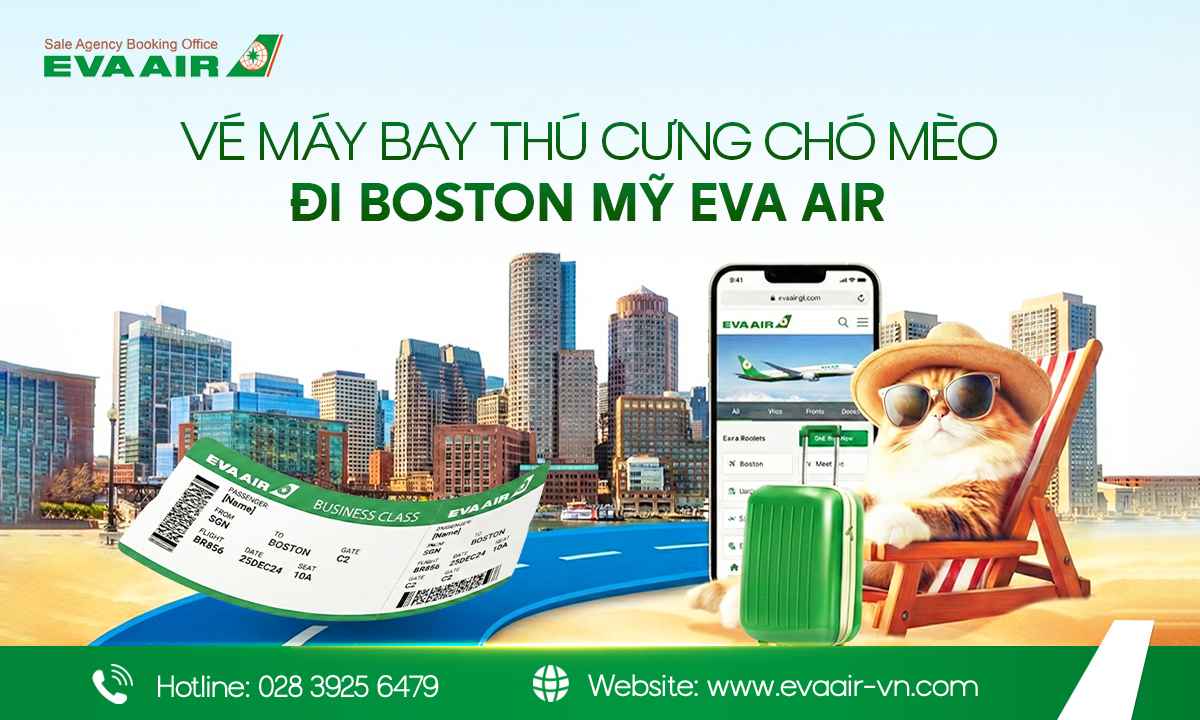ve-may-bay-thu-cung-cho-meo-di-boston-my-eva-air-885.jpg