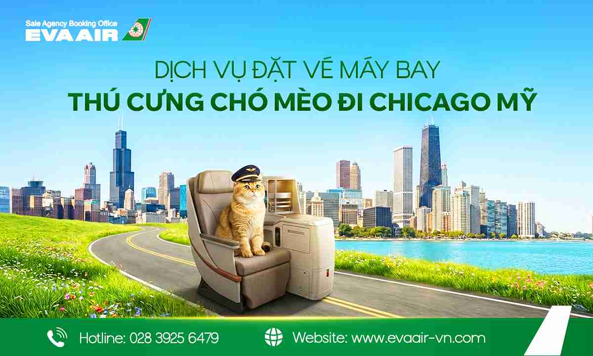 ve-may-bay-thu-cung-cho-meo-di-chicago-my-eva-air-791.jpg