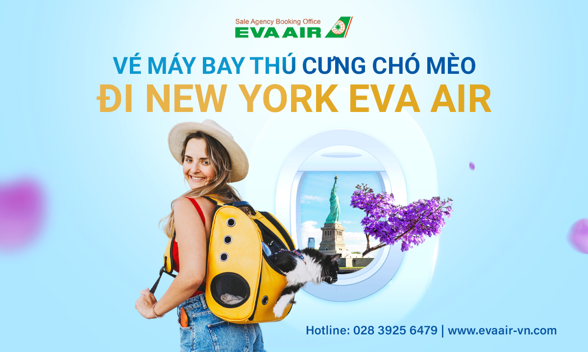 ve-may-bay-thu-cung-cho-meo-di-new-york-eva-air (2)-502.jpg