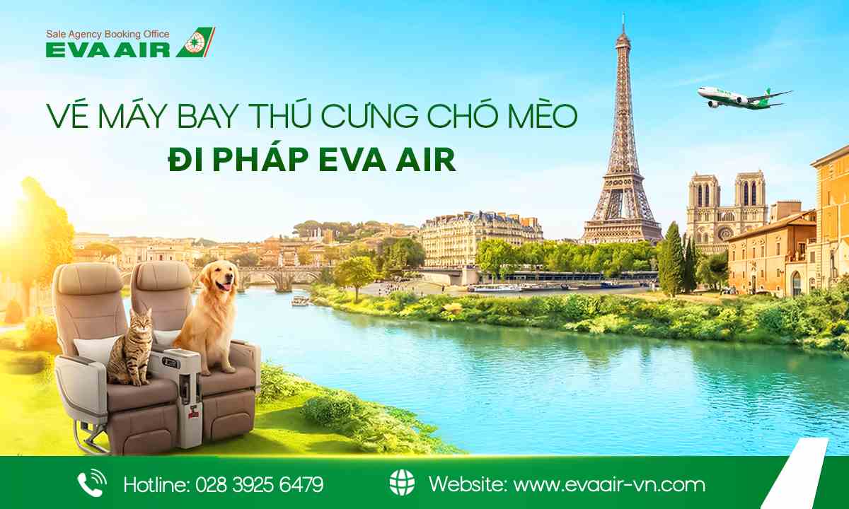 ve-may-bay-thu-cung-cho-meo-di-phap-eva-air-264.jpg