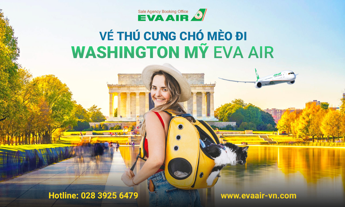 ve-thu-cung-cho-meo-di-washington-dc-my-eva-air-402.jpg