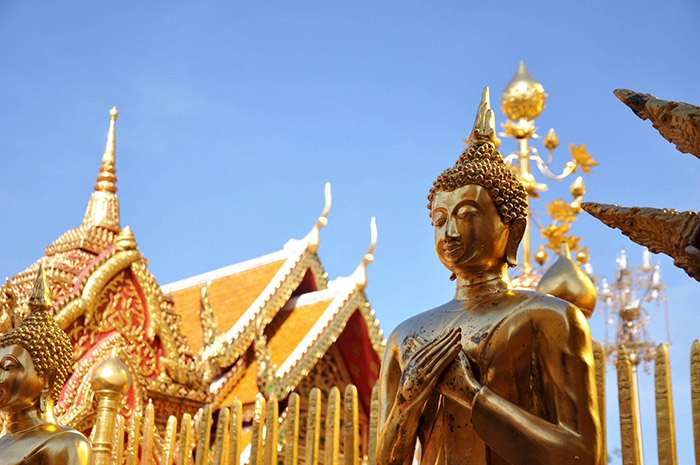 ve-may-bay-di-chiang-mai-gia-re-1-384.jpg