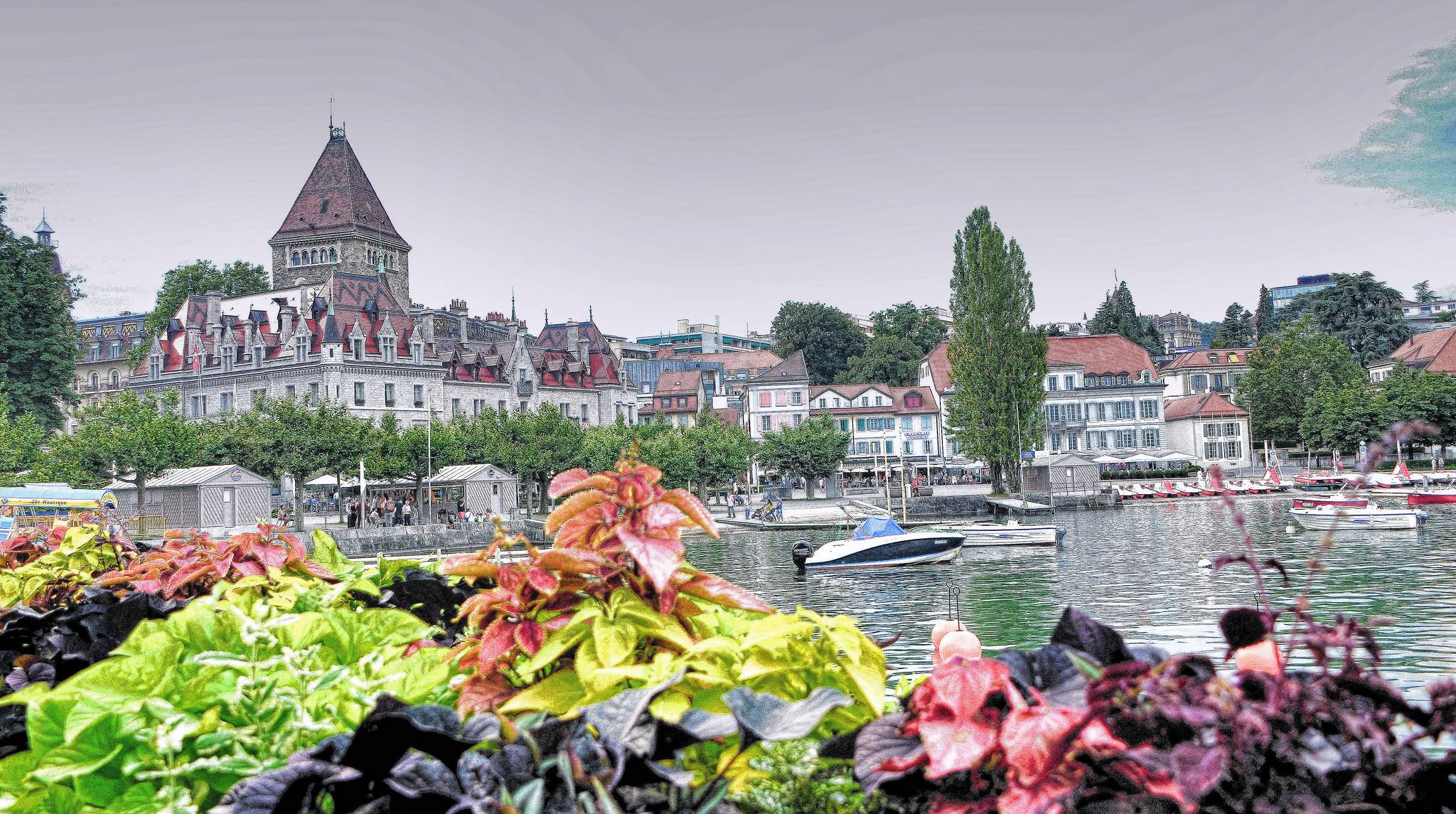 ve-may-bay-di-lausanne-gia-re-1-584.jpg
