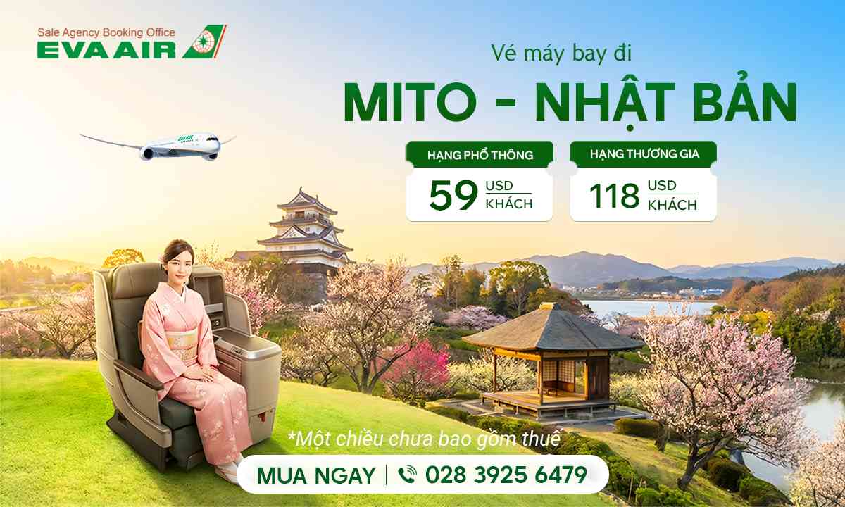 ve-may-bay-di-mito-gia-re-728.jpg