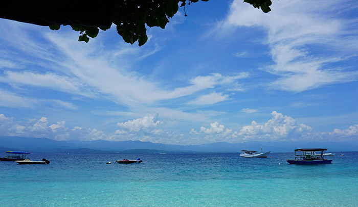 ve-may-bay-di-palu-gia-re-1-856.jpg