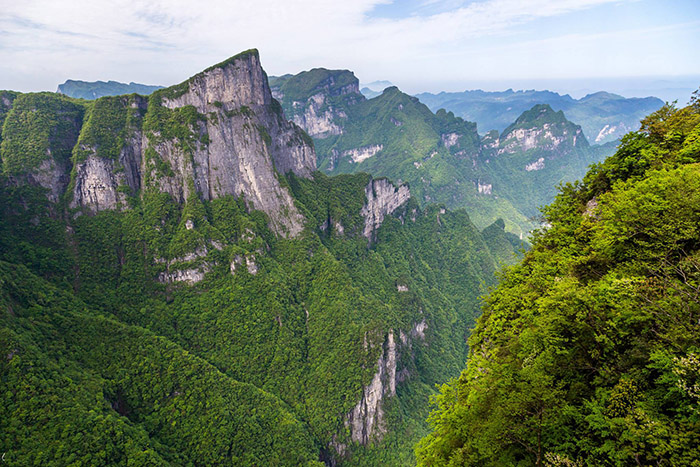 e-may-bay-di-truong-gia-gioi-gia-re-1-515.jpg