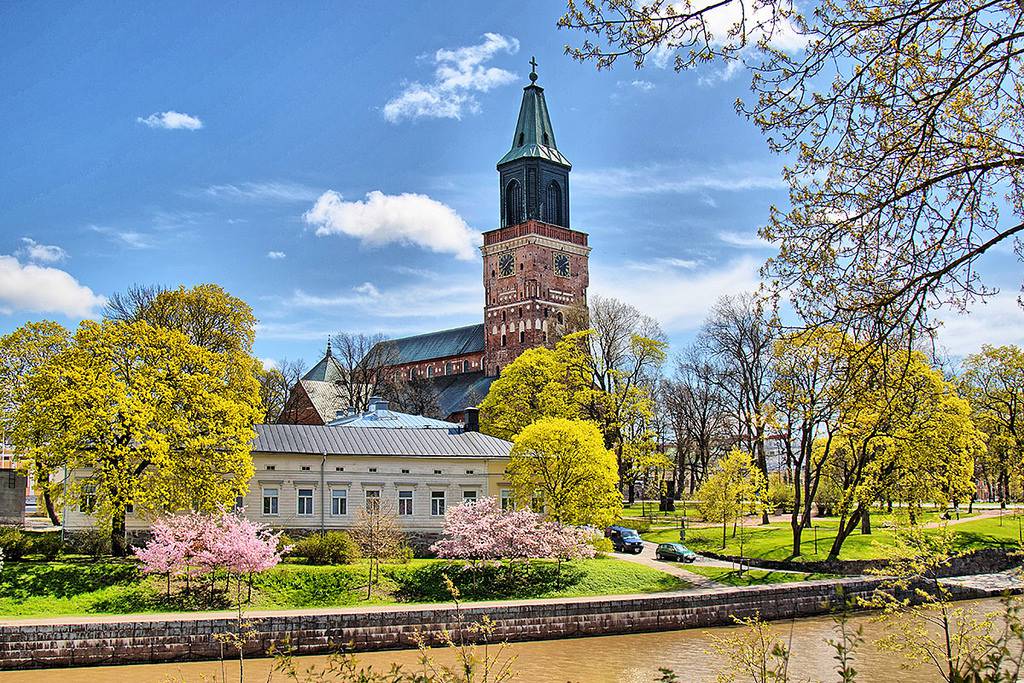 ve-may-bay-di-turku-gia-re-1-962.jpg