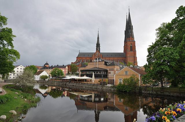 ve-may-bay-di-uppsala-gia-re-3-304.jpg